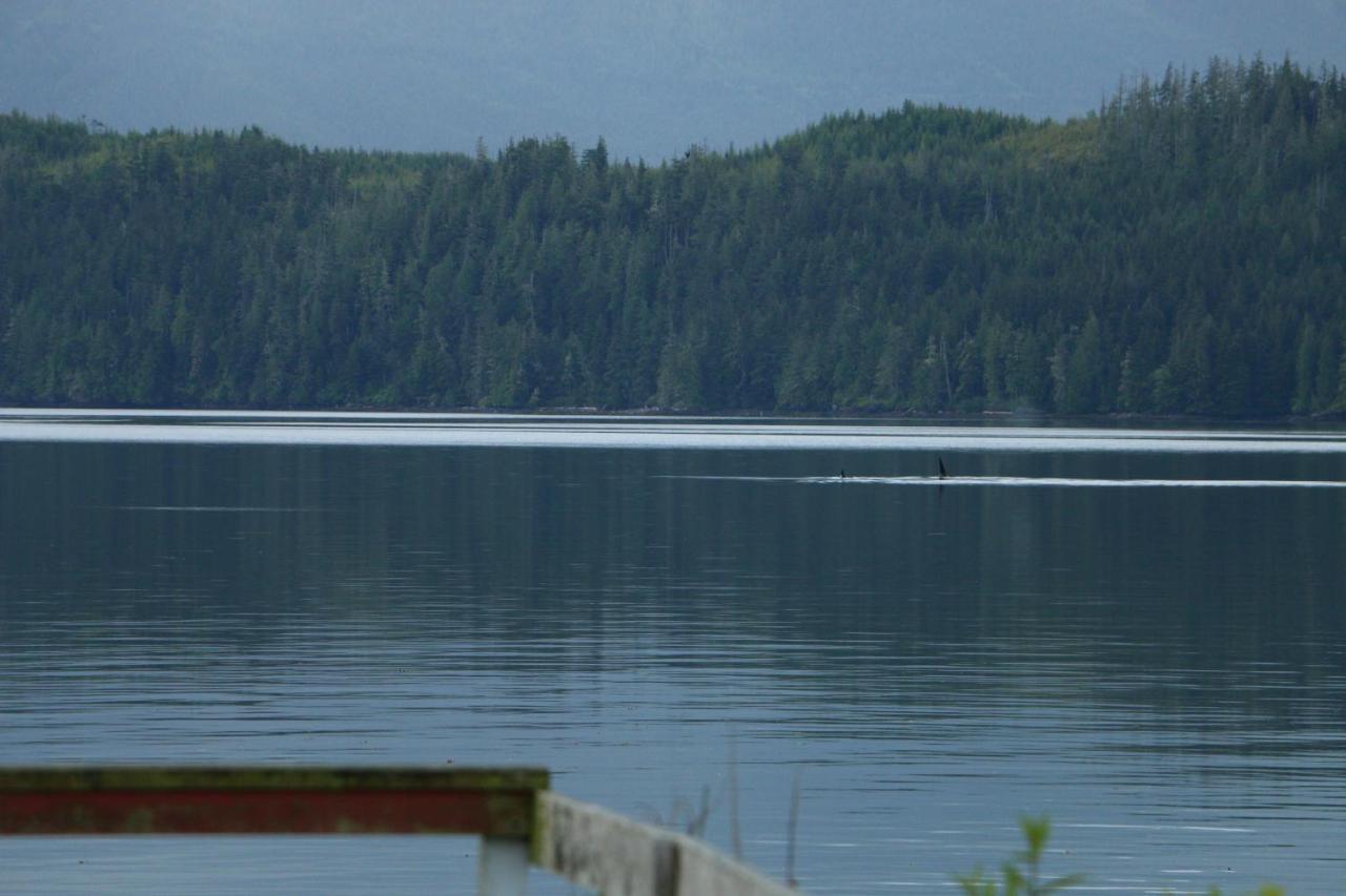 Nimpkish Hotel Alert Bay Exteriör bild